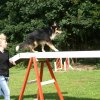 agility 2011-07-24